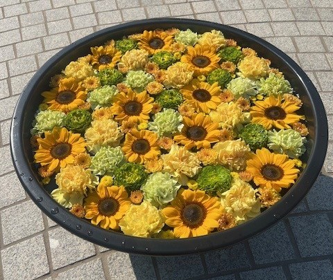 【2026年6月6日・7日】水元公園の花菖蒲と無料体験を子連れで回るの公式ビジュアル。会場は水元公園 噴水広場。