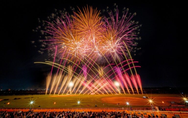 【第60回葛飾納涼花火大会】葛飾花火大会の穴場スポット情報や、スムーズな帰宅方法をご紹介！の公式ビジュアル。会場は葛飾区柴又野球場（江戸川河川敷）。