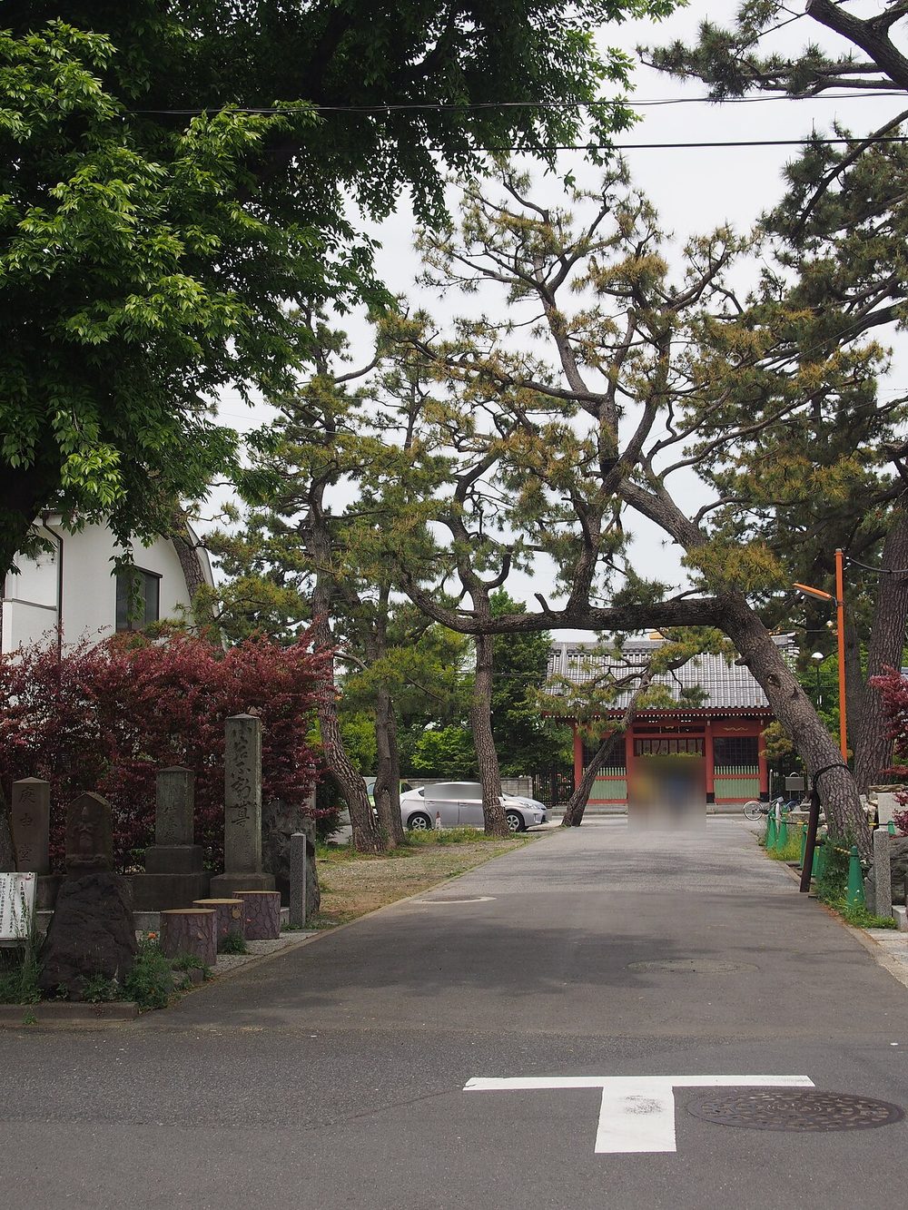両側にクロマツが並ぶ参道の突き当たりに立つ朱塗りの仁王門