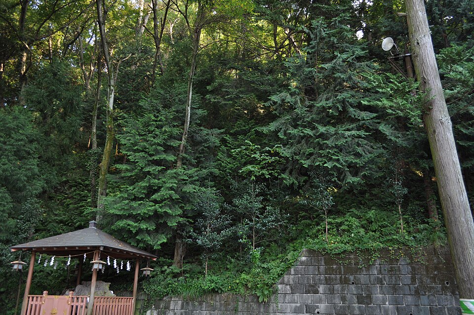 穴澤天神社の弁天社。斜面の下に小さな屋根付きの社があり、背後に鬱蒼とした木々と石垣が続く