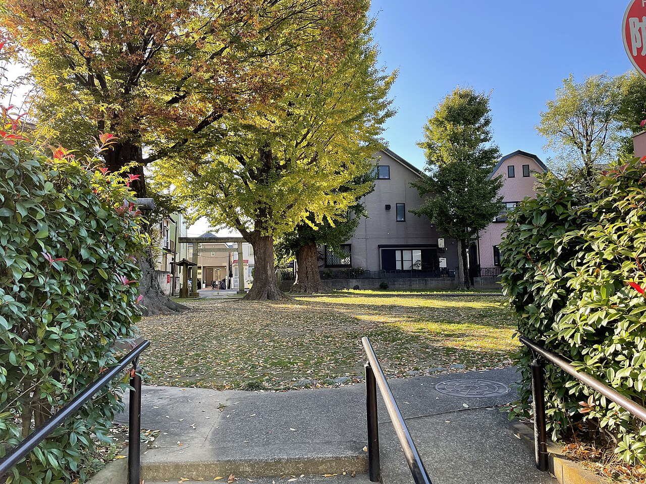 五北天祖神社の境内。入口の階段と手すりの先に大きなイチョウが二本立ち、奥に鳥居と社殿が見える