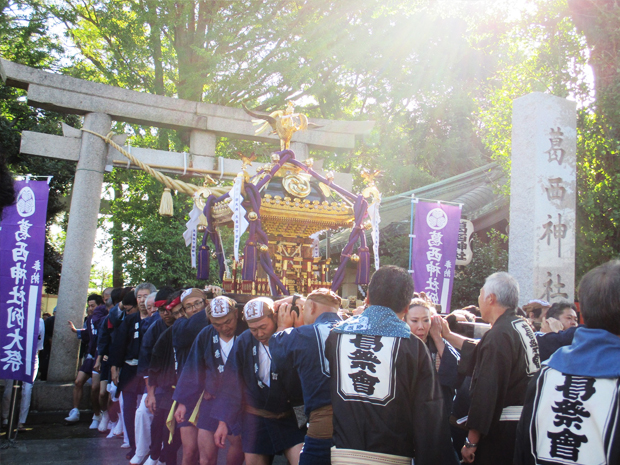 葛西神社の鳥居をくぐって出ていく金色の宮神輿と、法被姿で担ぐ氏子たち。右手に「葛西神社」の社号標が立つ