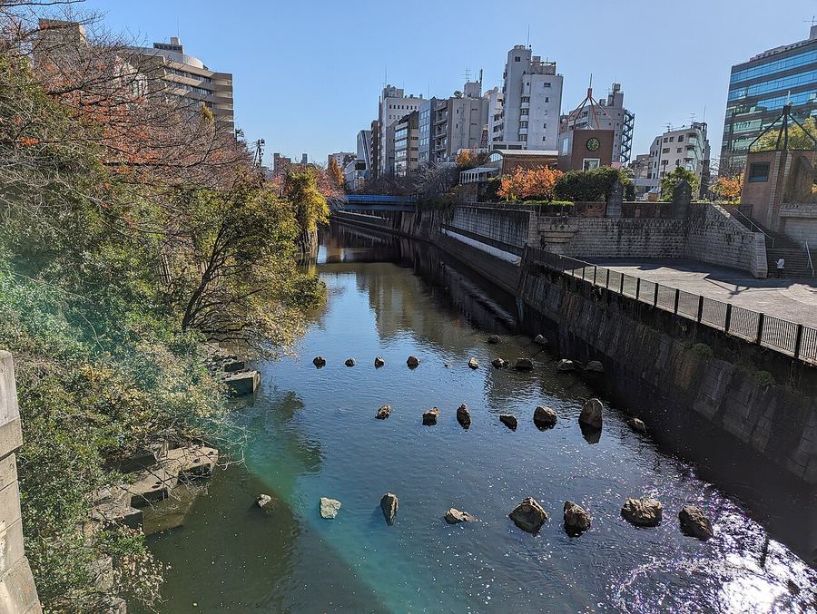 中目黒付近の目黒川。護岸に囲まれた川面に飛び石が並び、右奥に川沿いの広場と街並みが見える